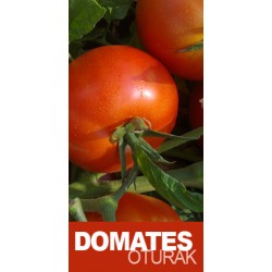 56 56 F1 domates Fidesi